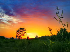 美圖分享丨手機(jī)攝影 第769期 市場推廣宣傳